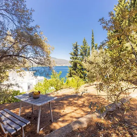 Savinka Вилла *