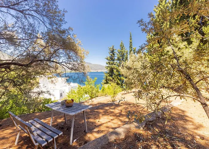 Savinka Вилла *